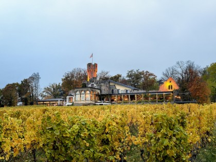 Foto: Burg Schwarzenstein